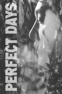 Poster to the movie "Perfect Days" #366093