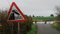 Backdrop to the movie "The Bannfoot Ferry" #506861