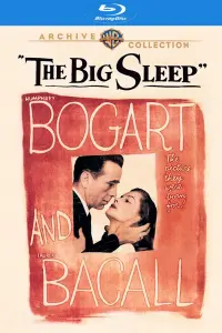 Poster to the movie "The Big Sleep" #126283