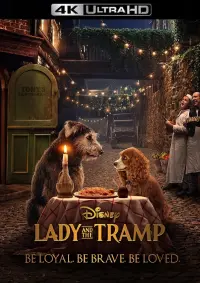 Poster to the movie "Lady and the Tramp" #75026