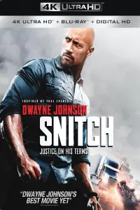 Poster to the movie "Snitch" #121131