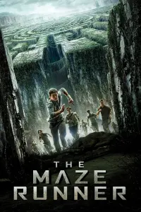 Poster to the movie "The Maze Runner" #7911