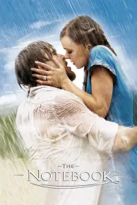 Poster to the movie "The Notebook" #31040