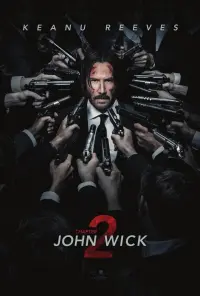 Poster to the movie "John Wick: Chapter 2" #169036