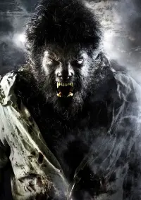 Poster to the movie "The Wolfman" #341723