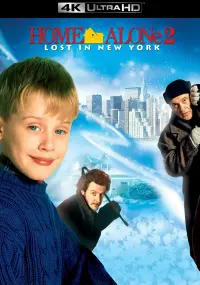 Poster to the movie "Home Alone 2: Lost in New York" #163493