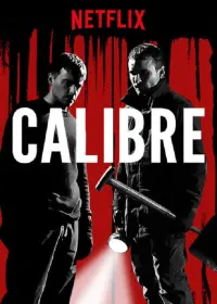 Poster to the movie "Calibre" #282321