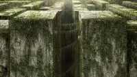 Backdrop to the movie "The Maze Runner" #234595