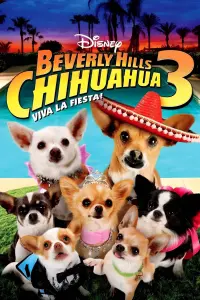 Poster to the movie "Beverly Hills Chihuahua 3: Viva la Fiesta!" #326032