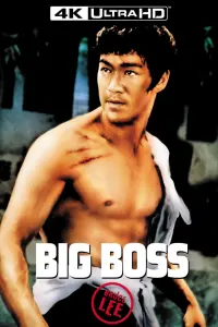 Poster to the movie "The Big Boss" #91150