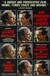 Poster to the movie "My Dinner with Andre" #149223