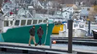 Backdrop to the movie "Manchester by the Sea" #208340