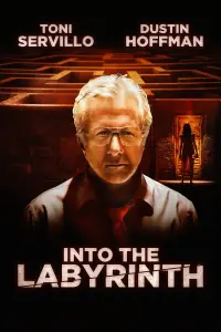 Poster to the movie "Into the Labyrinth" #288892