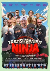 Poster to the movie "Transilvanian Ninja" #695955