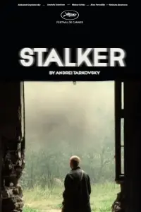 Poster to the movie "Stalker" #44099