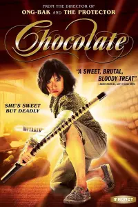 Poster to the movie "Chocolate" #102560