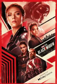 Poster to the movie "Black Widow" #23519