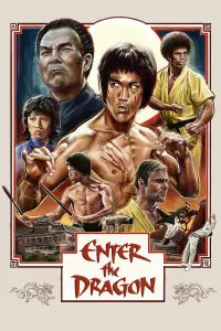 Poster to the movie "Enter the Dragon" #216330