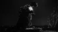 Backdrop to the movie "Godzilla" #584342