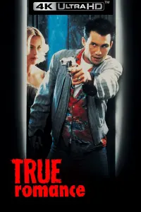 Poster to the movie "True Romance" #75075