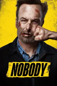 Poster to the movie "Nobody" #35854