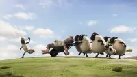 Backdrop to the movie "Shaun the Sheep Movie" #248511