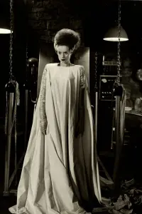 Poster to the movie "The Bride of Frankenstein" #211102