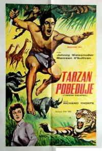 Poster to the movie "Tarzan Escapes" #466992