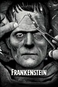 Poster to the movie "Frankenstein" #85953