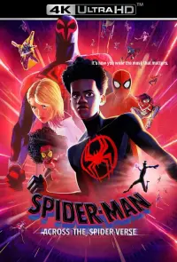 Poster to the movie "Spider-Man: Across the Spider-Verse" #3195