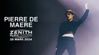 Backdrop to the movie "Pierre de Maere en concert au Zénith de Paris" #504655