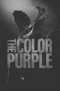 Poster to the movie "The Color Purple" #165210