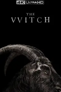 Poster to the movie "The Witch" #66187