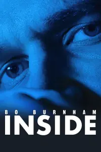 Poster to the movie "Bo Burnham: Inside" #103467