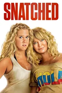 Poster to the movie "Snatched" #87272