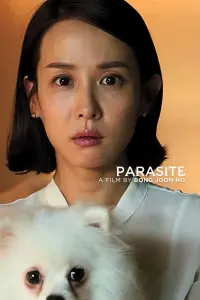 Poster to the movie "Parasite" #605235