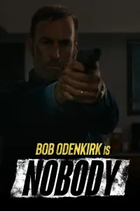 Poster to the movie "Nobody" #35865