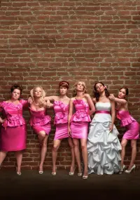 Poster to the movie "Bridesmaids" #281656