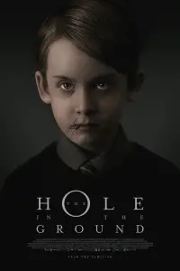 Poster to the movie "The Hole in the Ground" #135687