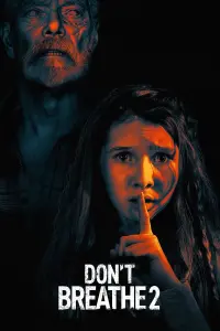 Poster to the movie "Don