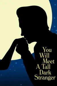 Poster to the movie "You Will Meet a Tall Dark Stranger" #137887