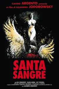 Poster to the movie "Santa Sangre" #239469