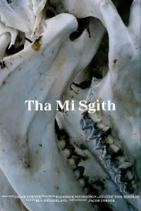 Poster to the movie "Tha Mi Sgìth" #473945