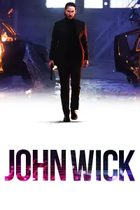 Poster to the movie "John Wick" #51553