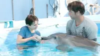 Backdrop to the movie "Dolphin Tale" #250980