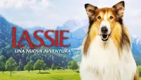 Backdrop to the movie "Lassie: A New Adventure" #568759