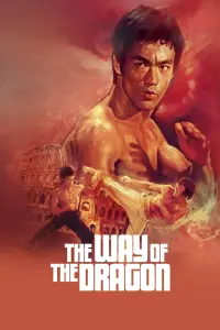 Poster to the movie "The Way of the Dragon" #82880