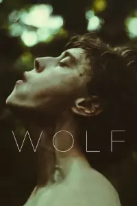 Poster to the movie "Wolf" #315307