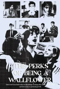 Poster to the movie "The Perks of Being a Wallflower" #691771