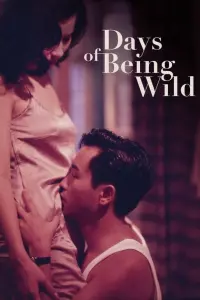 Poster to the movie "Days of Being Wild" #144116